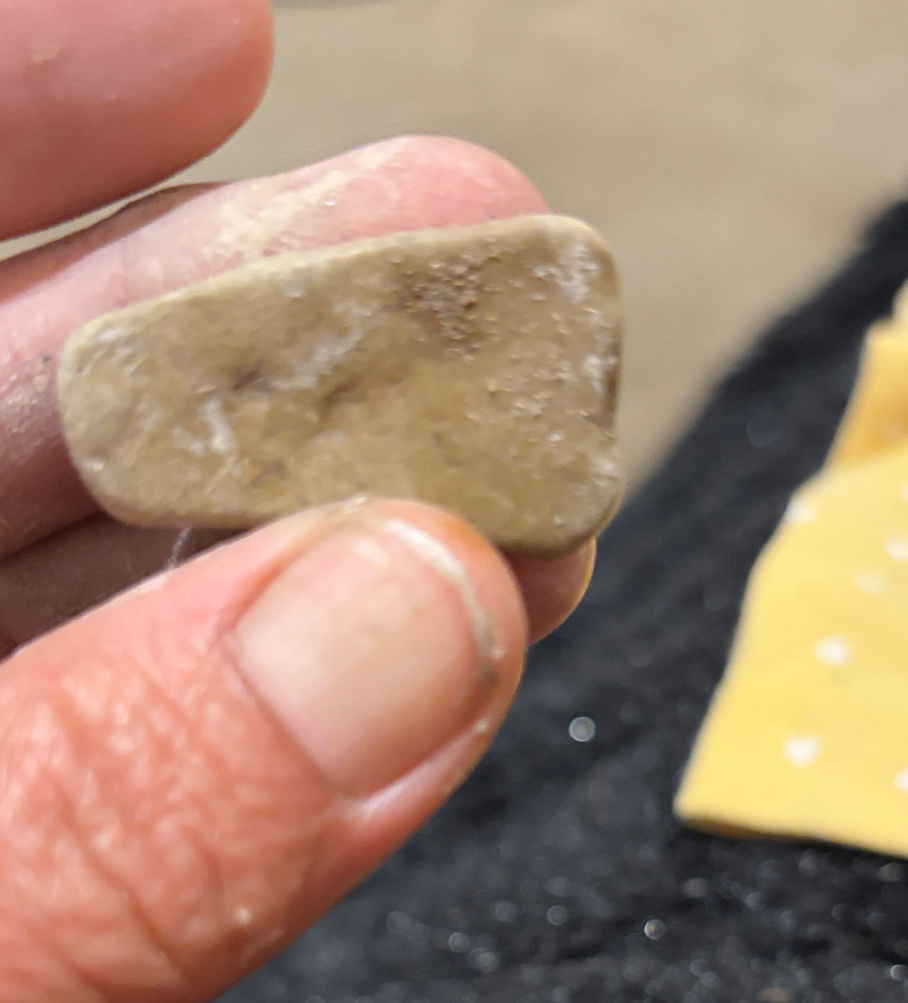 Native American Stone Celt or Tool Fragment