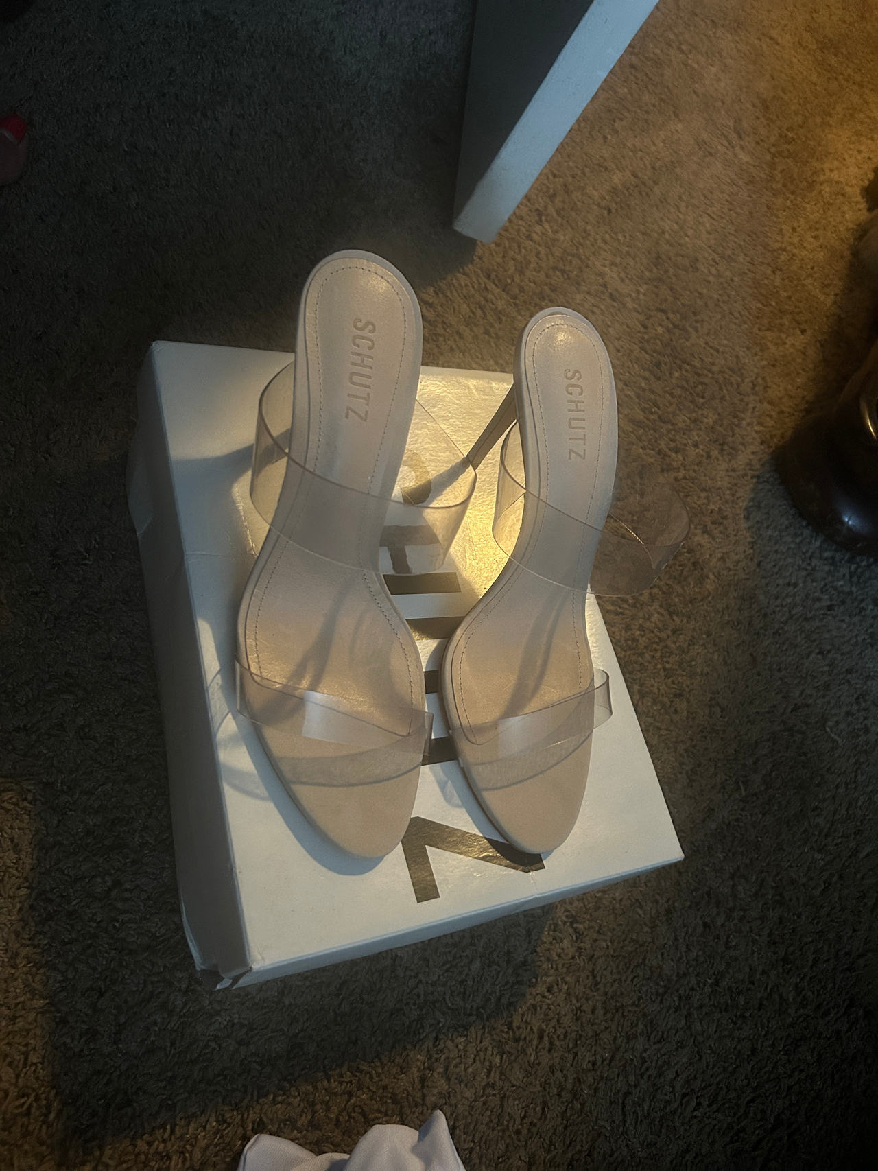 Schutz Transparent Strap Heeled Sandals