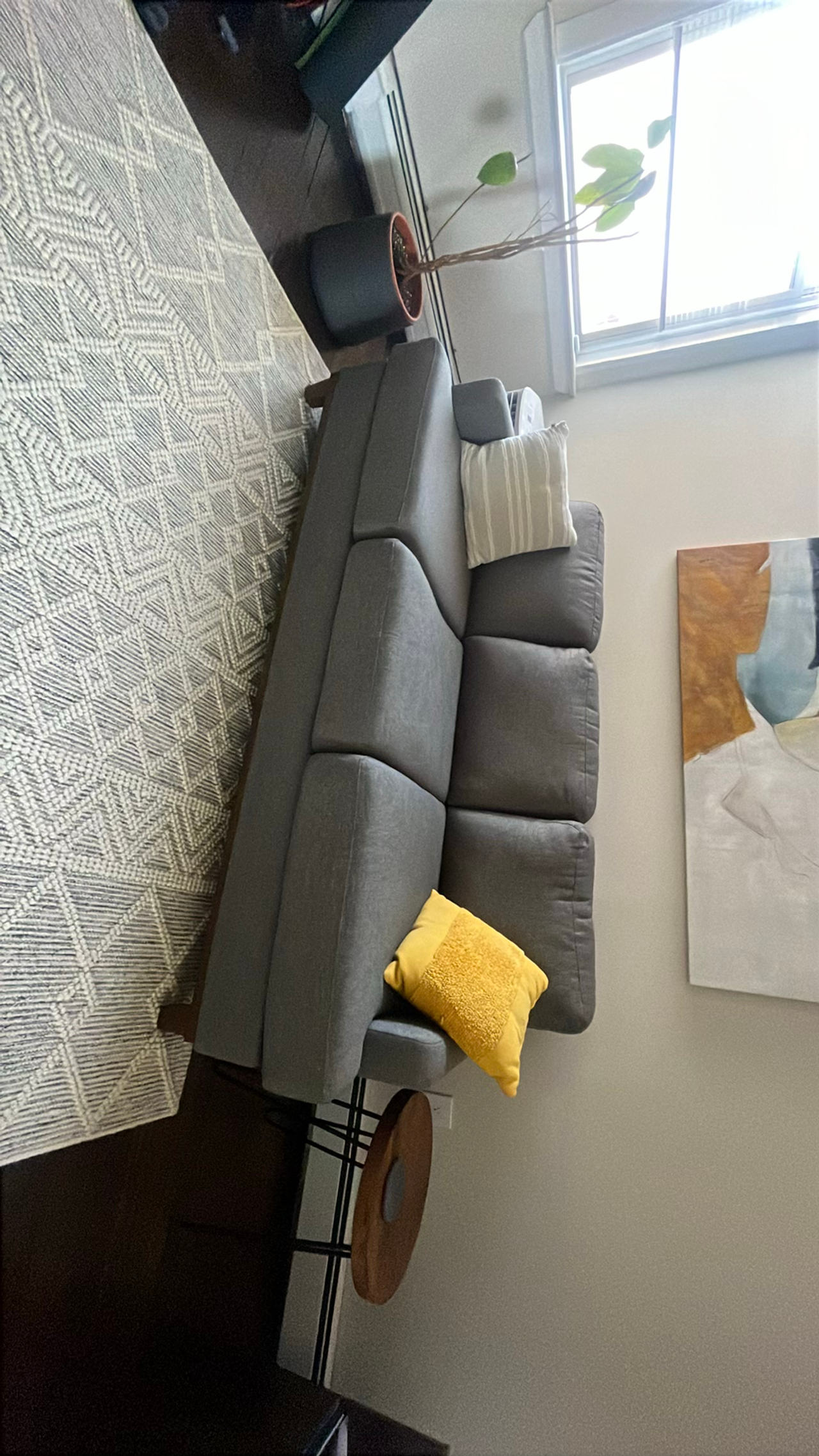 Gray Sofa