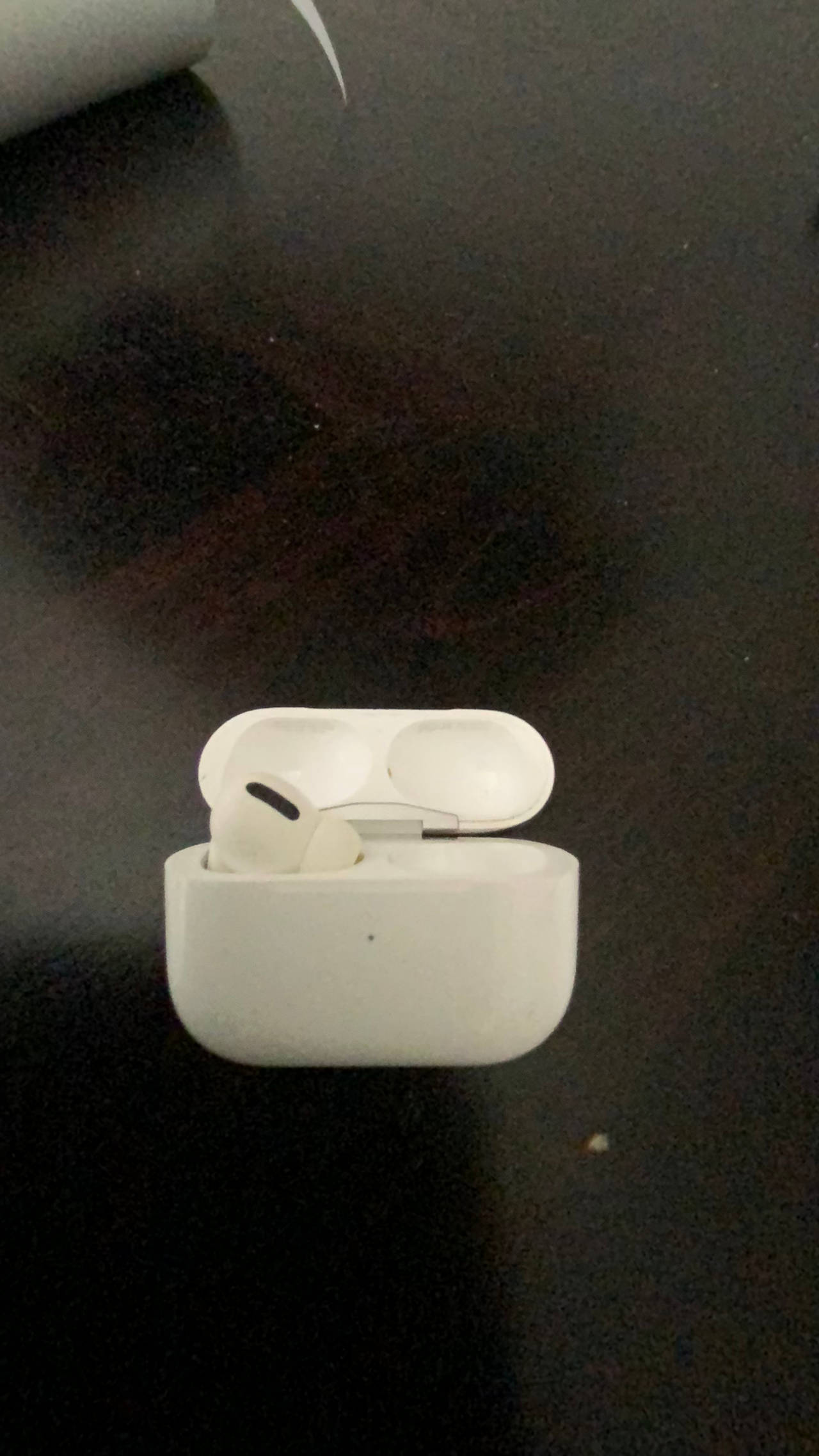 Apple AirPods Pro Case and Left Earbud (A2190)