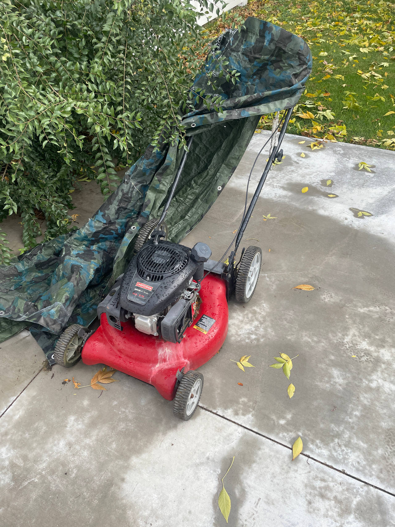 Craftsman Gas Push Lawn Mower