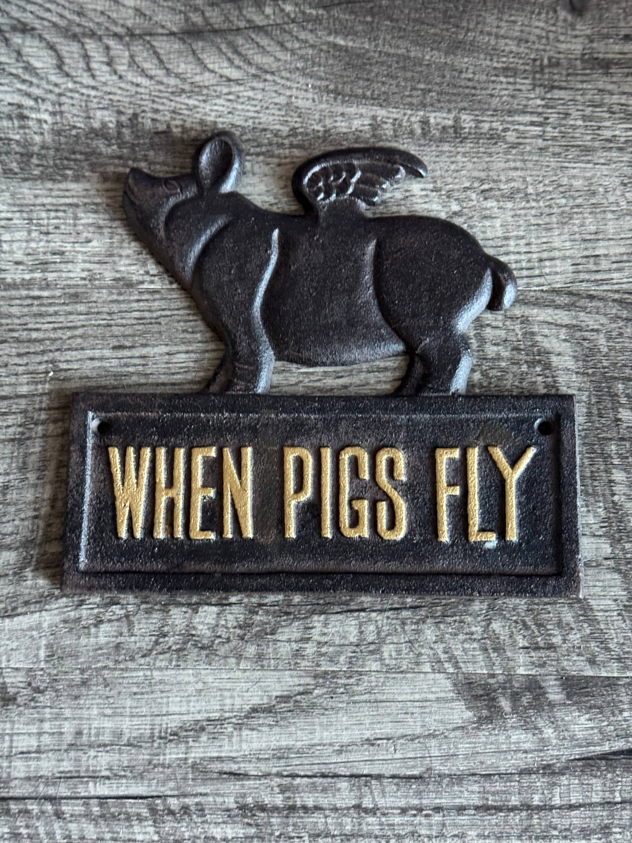 Cast Iron When Pigs Fly Wall Plaque