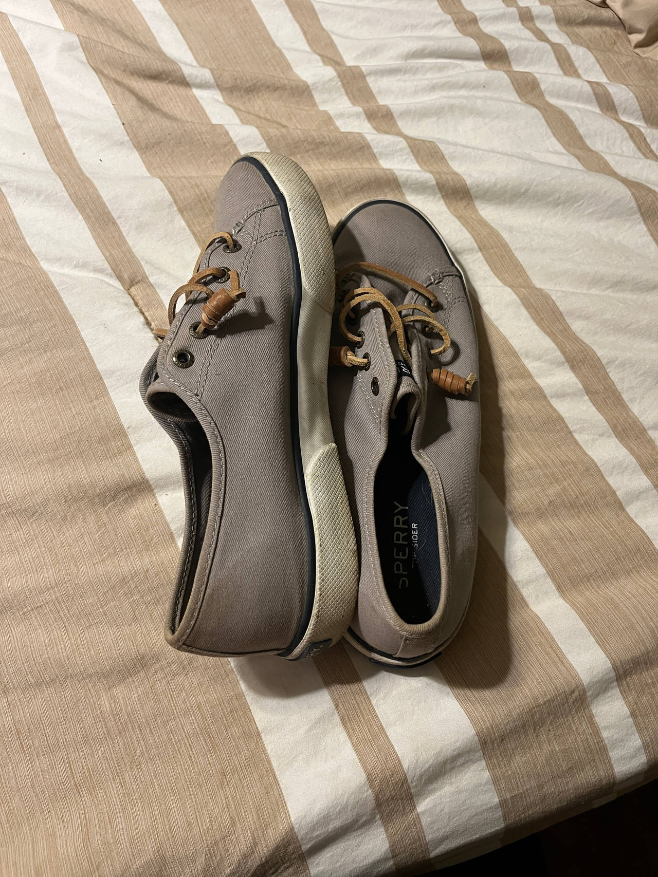Sperry Crest Vibe Canvas Sneaker