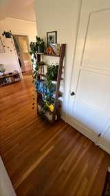 Studio Wall Bookshelf - Walnut - Image 2