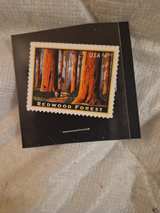 USPS Redwood Forest $4.95 Priority Mail Stamp (2009) - Image 3