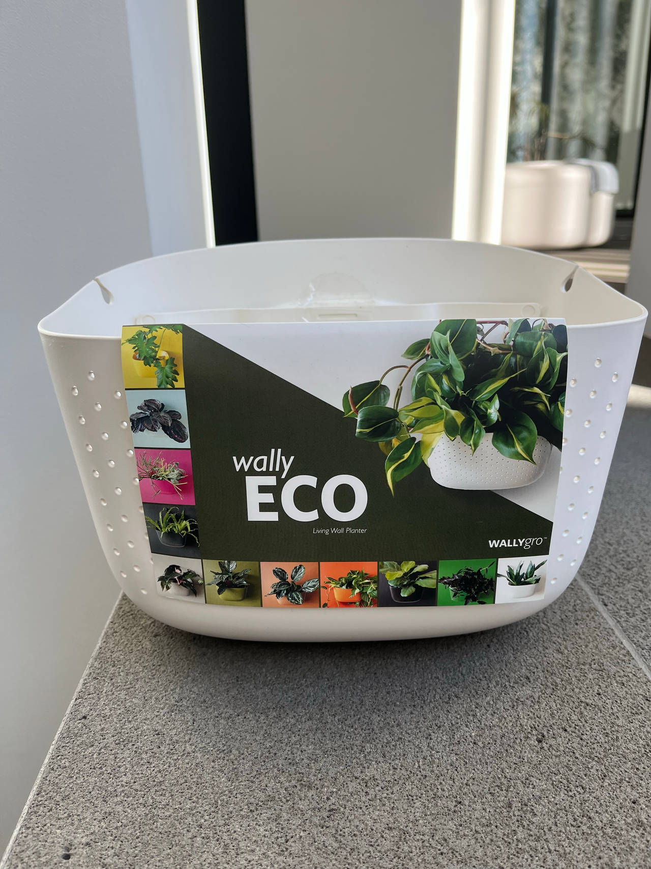 Wally Eco Living Wall Planter - White