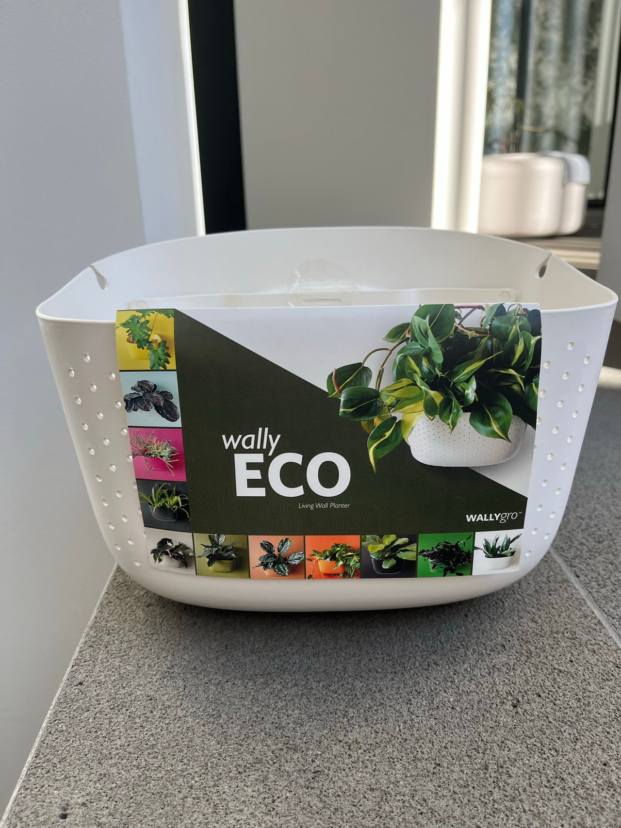 Wally Eco Living Wall Planter - White