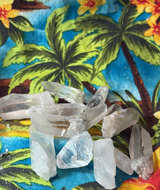 Natural Clear Quartz Crystal Points Bulk Lot(4) - Image 1