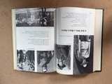 Childcraft: The How and Why Library Volume 11 Look and Learn - Image 6