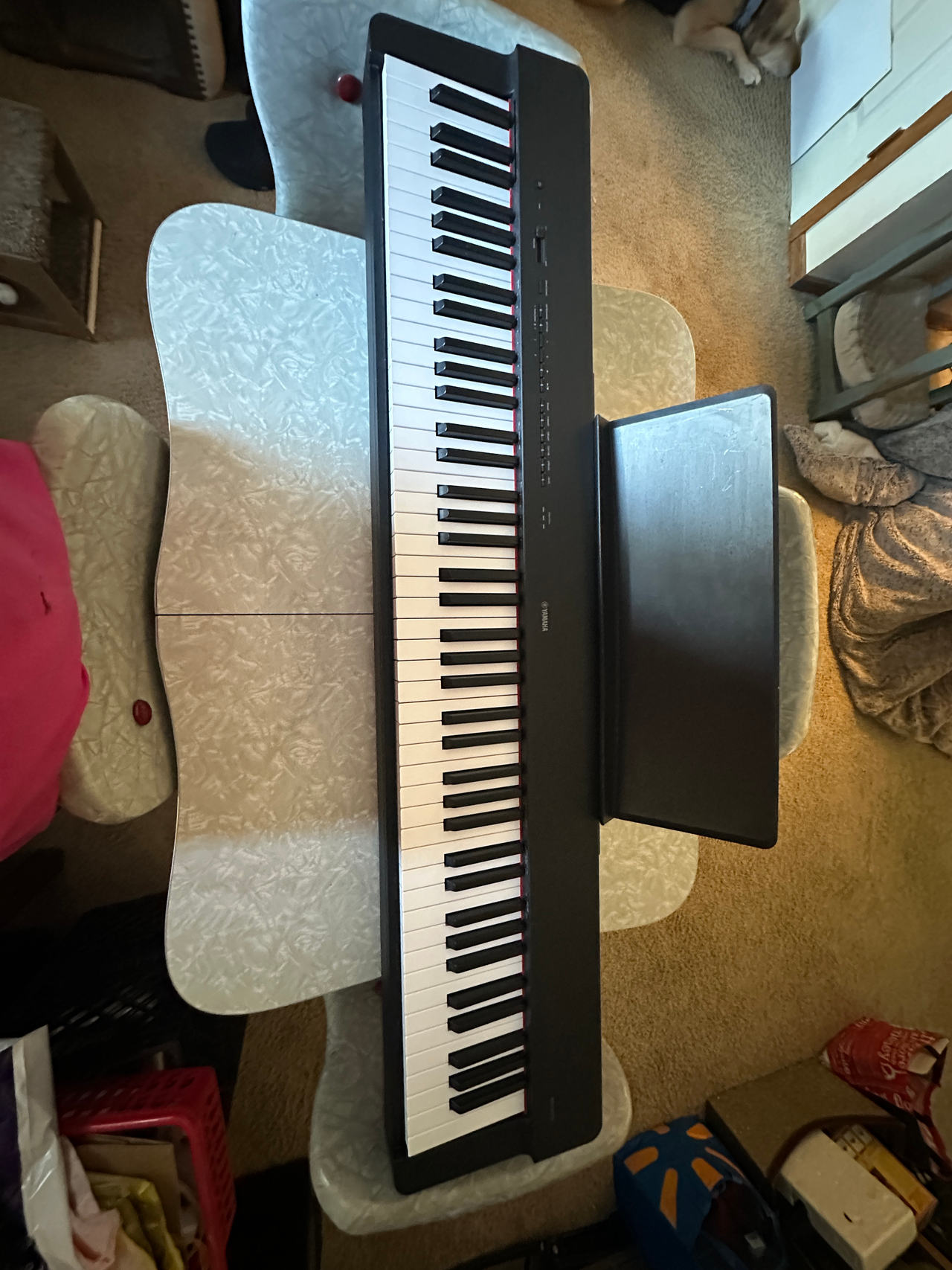 Yamaha P-225 88-Key Weighted Action Digital Piano