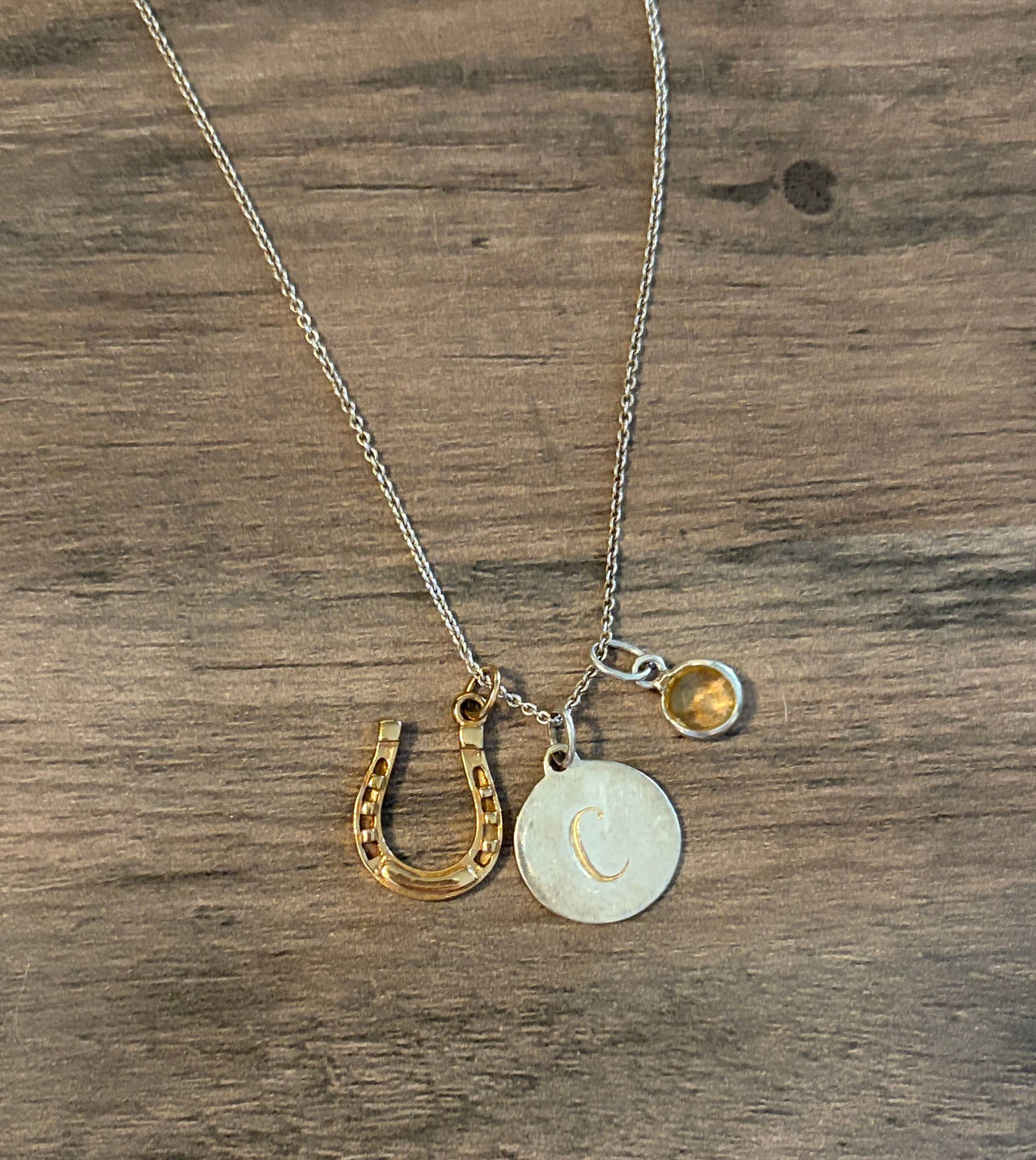 Stella & Dot Horseshoe and Initial C Charm Necklace