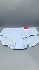Spanx Brief Panty - Image 2