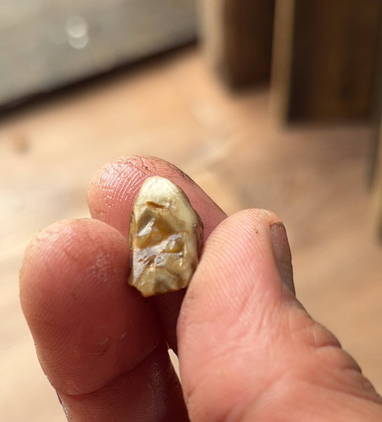 Native American Chert Debitage Flake