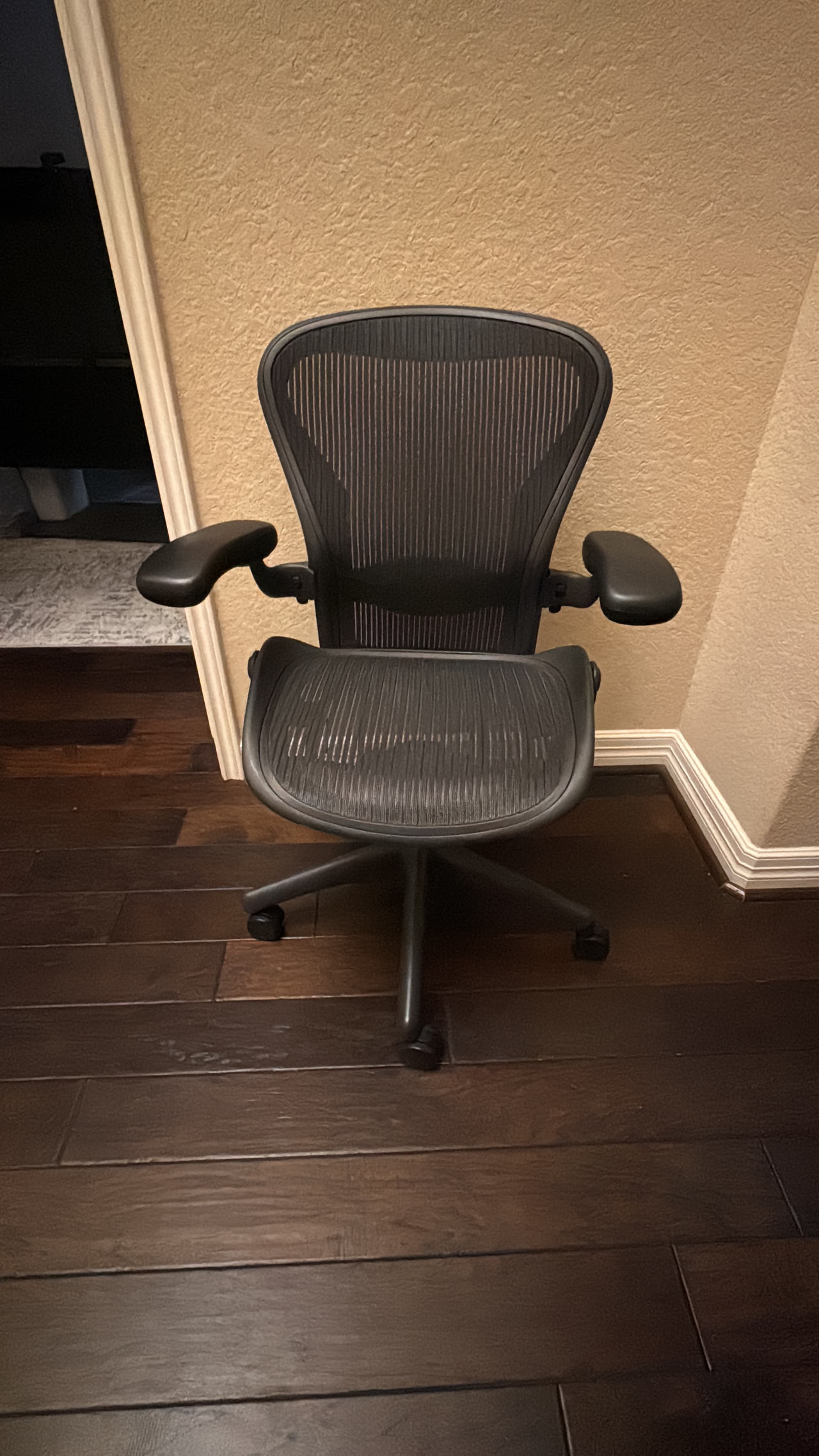 Herman Miller Aeron Chair