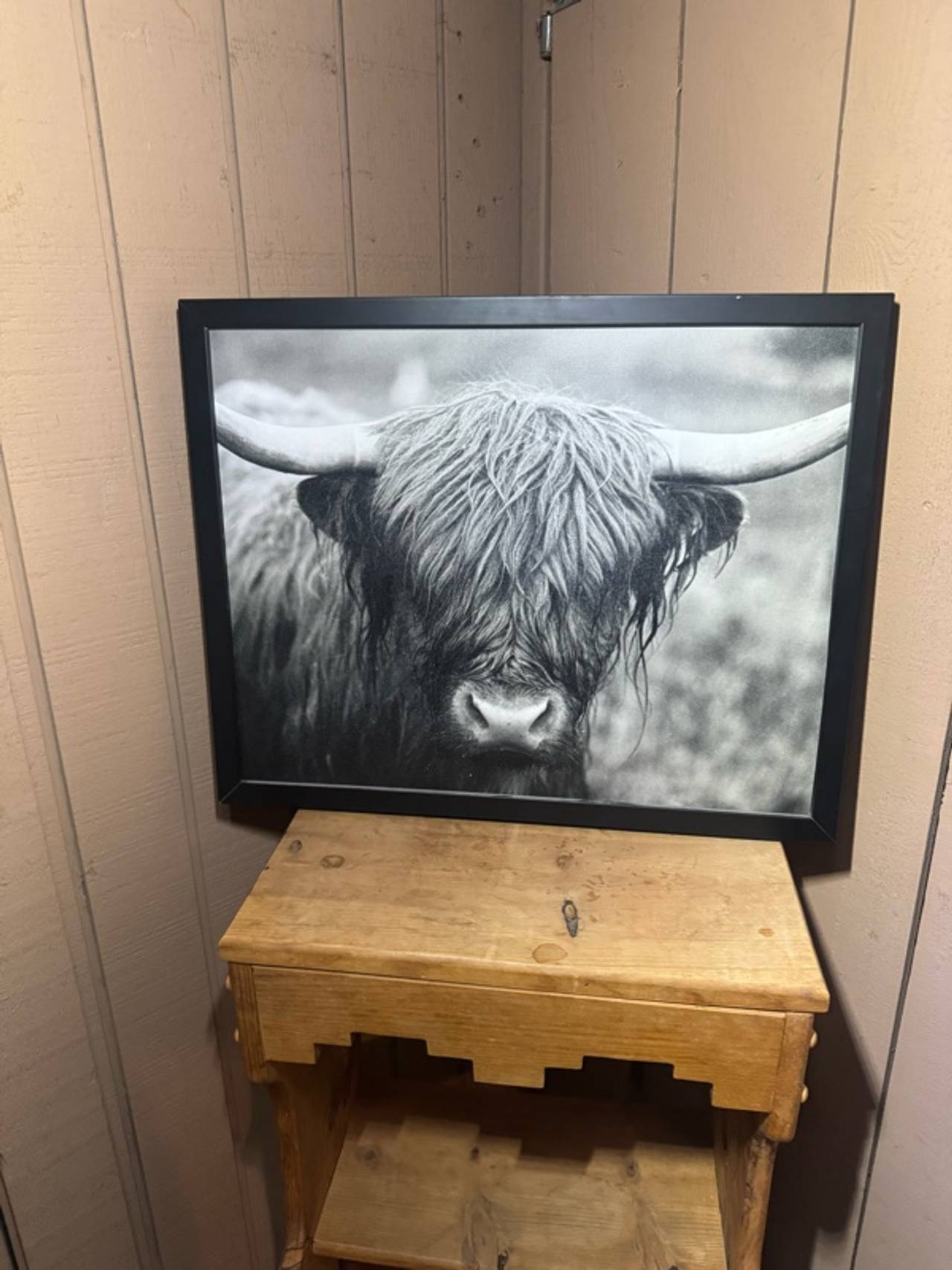 Highland Cow Framed Canvas Wall Art