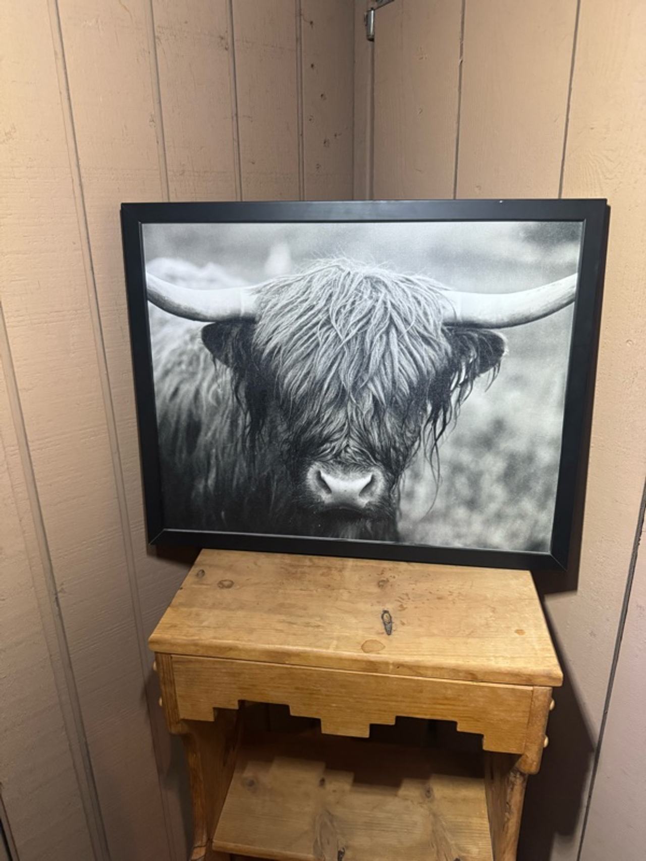 Highland Cow Framed Canvas Wall Art
