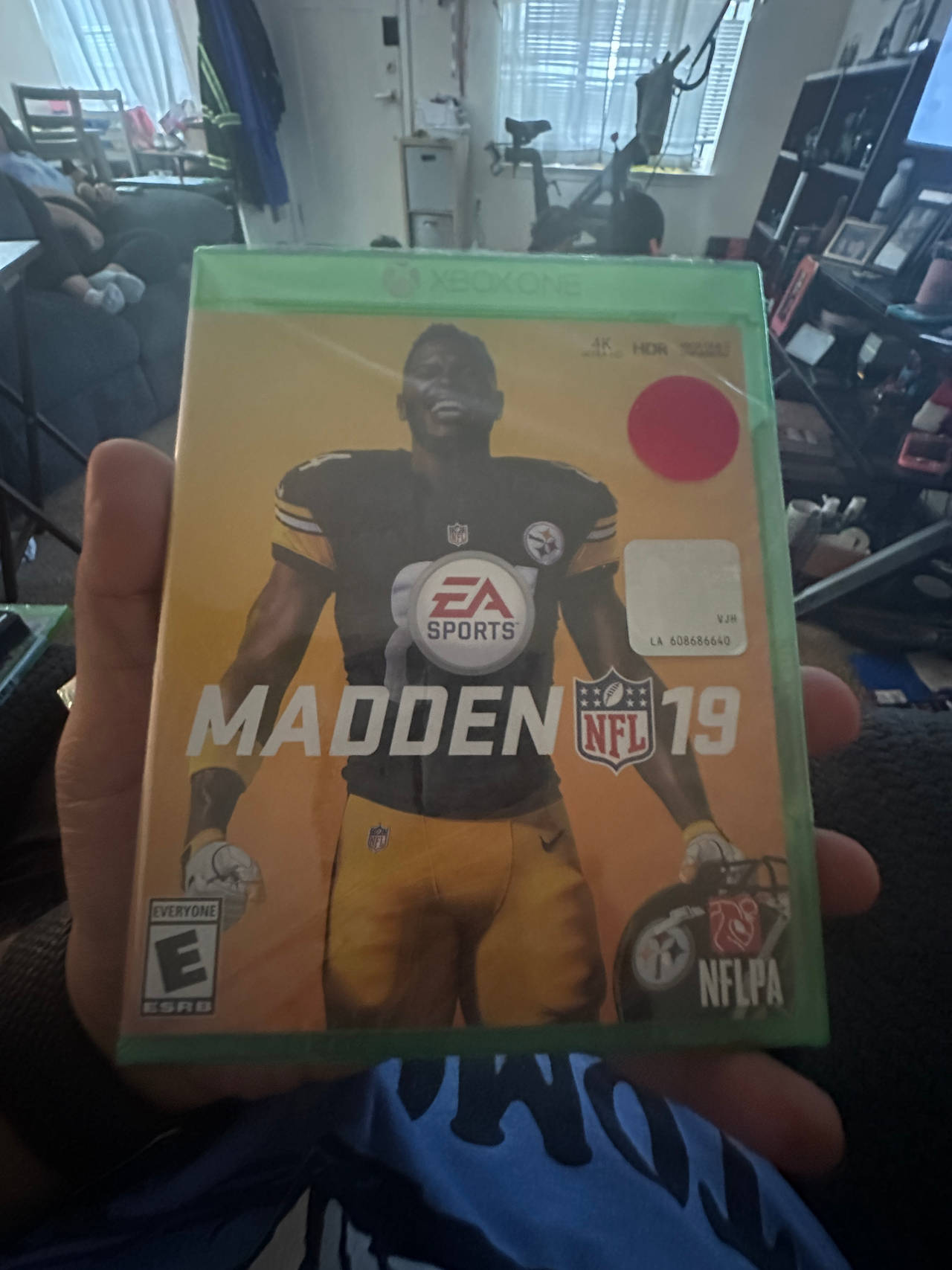 Madden NFL 19