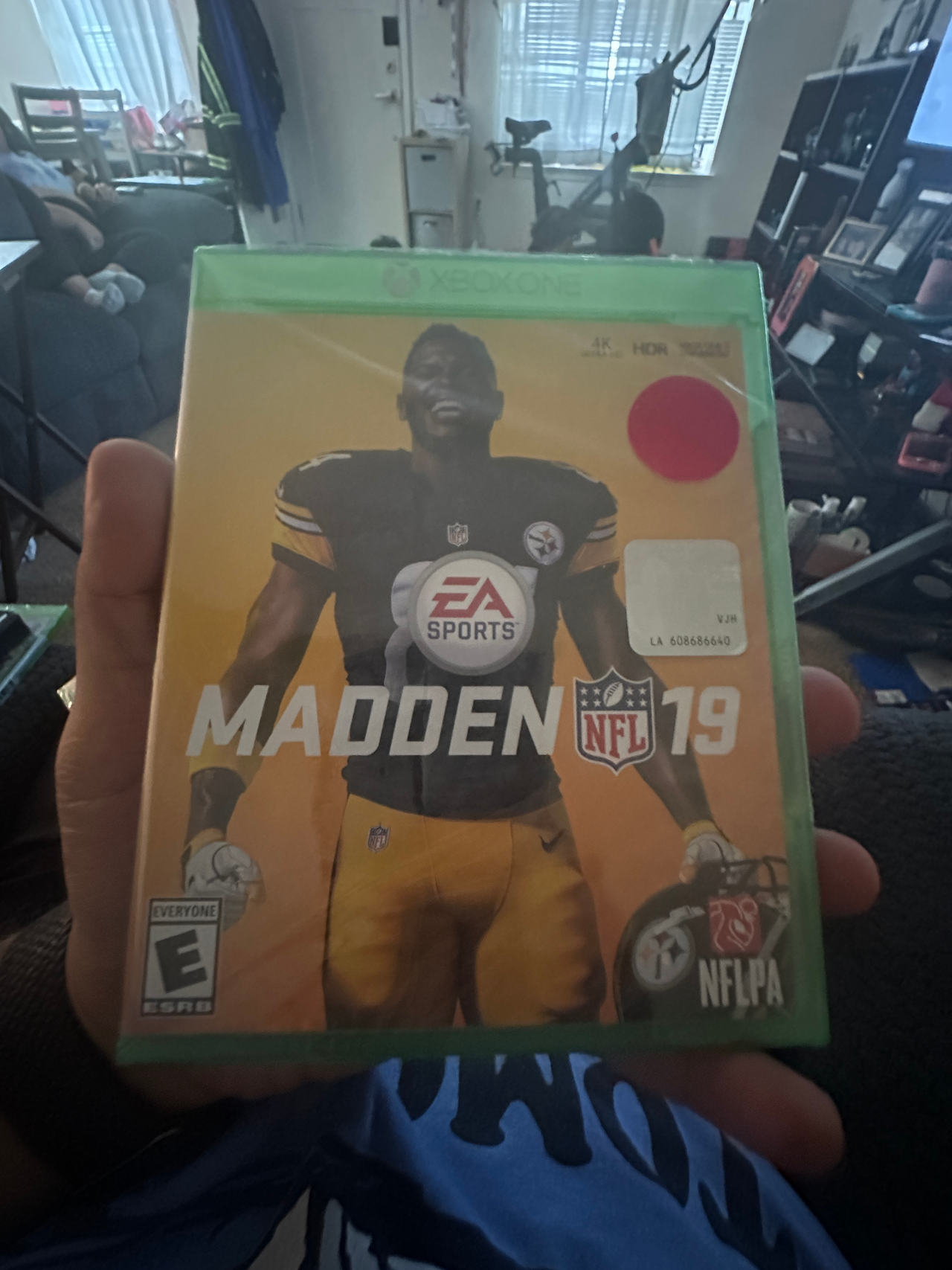 Madden NFL 19