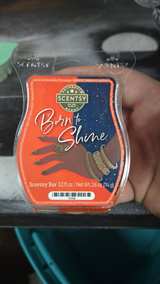 Scentsy Bar Born to Shine Wax Melt - Image 2