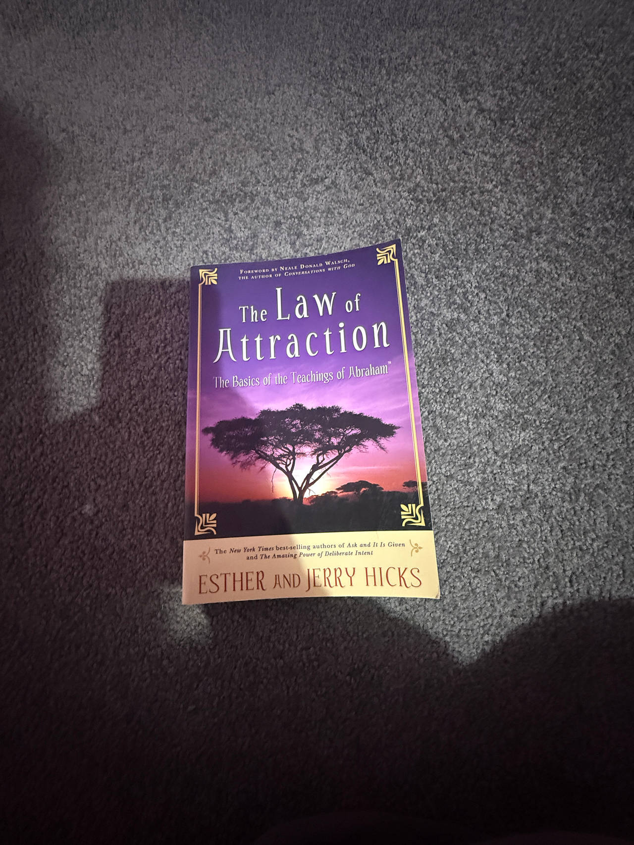 The Law of Attraction: The Basics of the Teachings of Abraham