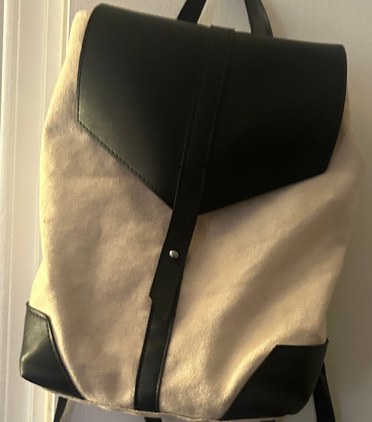 Everlane The Petra Backpack