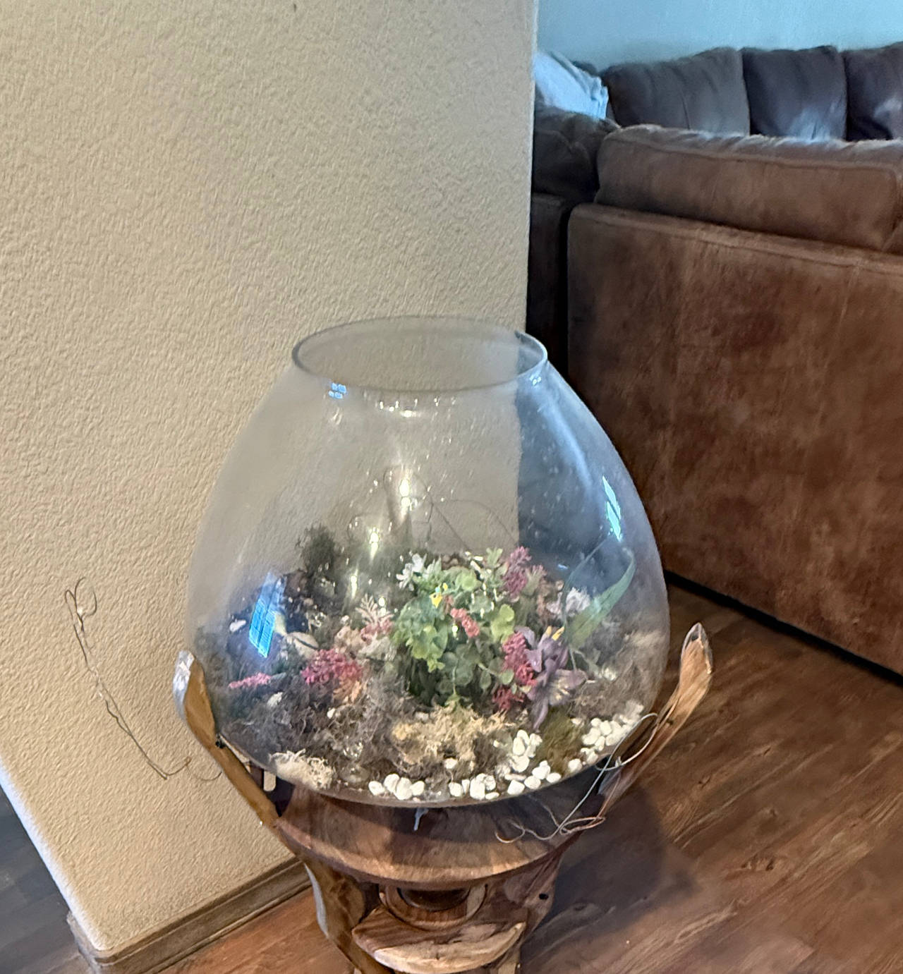 Molten Glass on Wood Root Terrarium Bowl