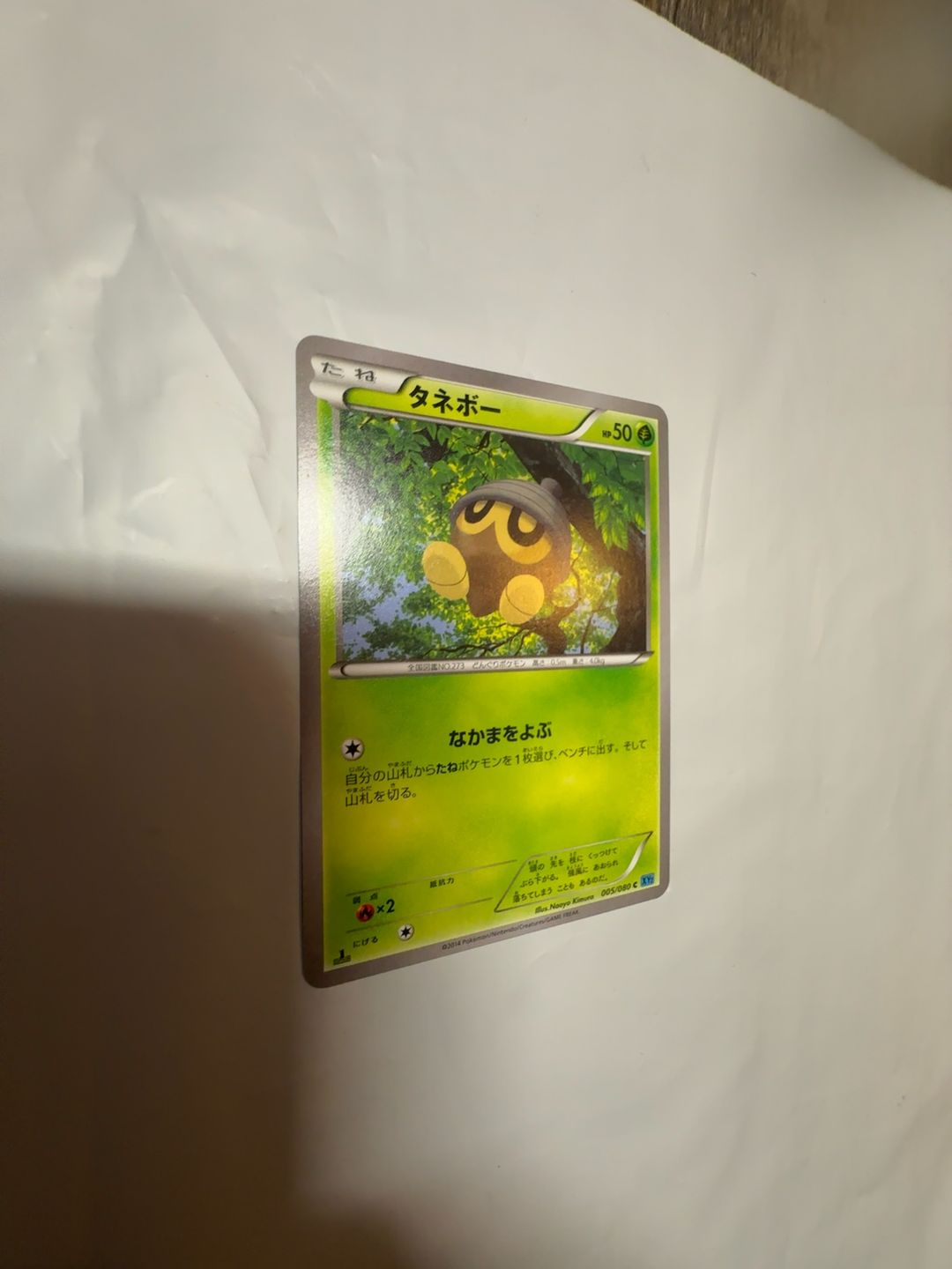 Pokemon Seedot XY Flashfire Common Card