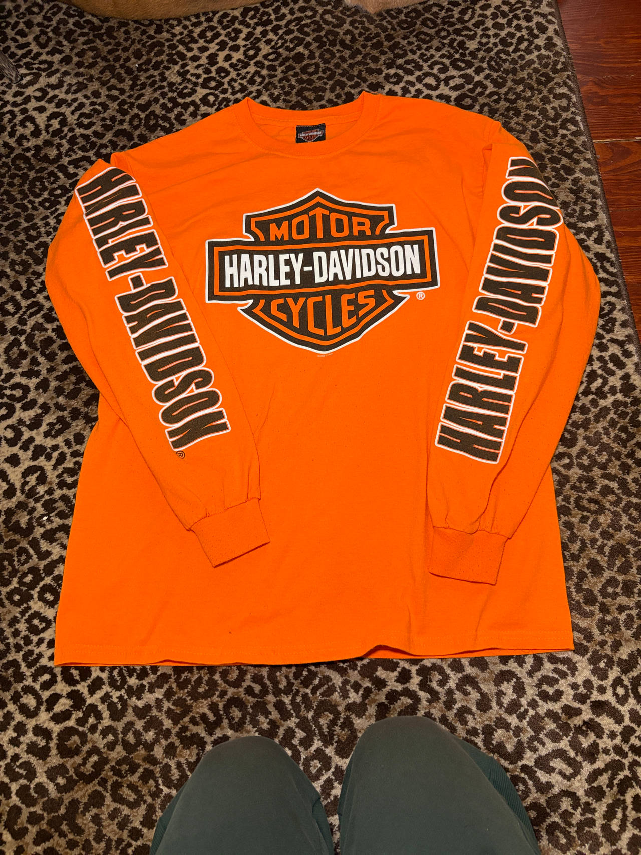 Harley-Davidson Orange Long Sleeve Graphic T-Shirt