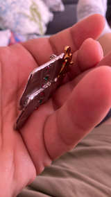 Christmas Stocking Brooch - Image 5