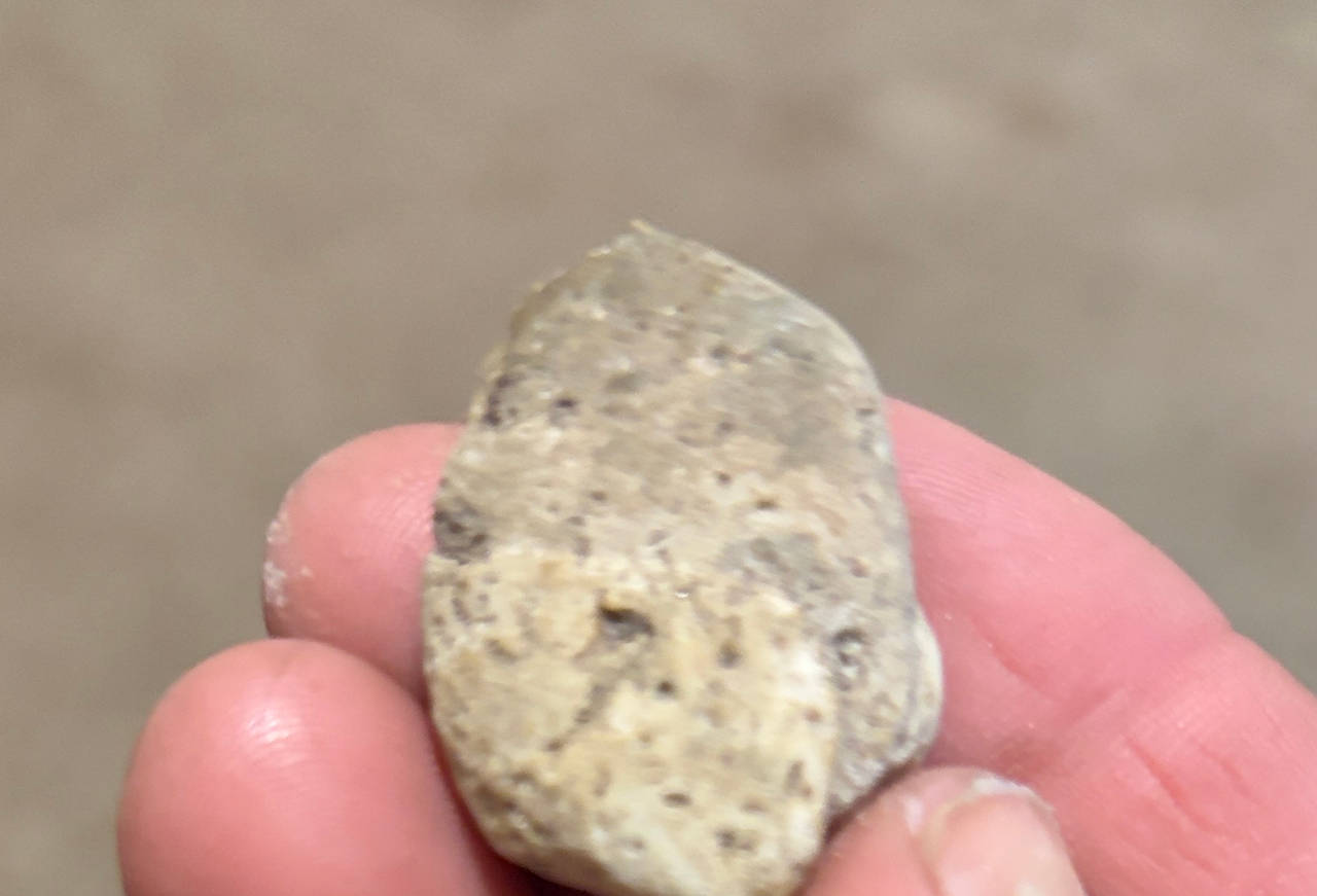 Authentic Native American Stone Tool/Arrowhead Fragment