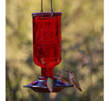 More Birds Elixir Hummingbird Feeder, Vintage Glass Medicine Bottle Hummingbird - Image 4