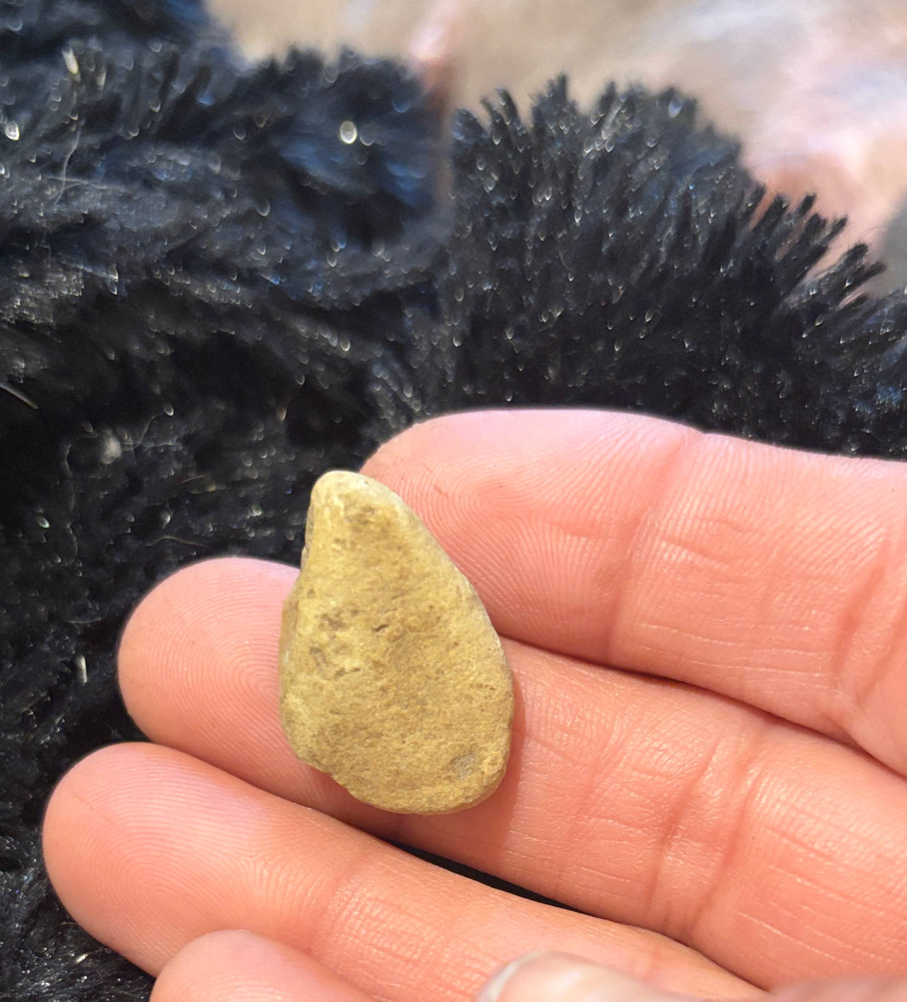 Primitive Stone Tool or Arrowhead