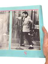 Elvis Presley Panoramic Stage Performance Poster - Image 2