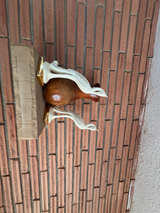 Vintage Ceramic Bird Figurines with Gold Trim - Image 1