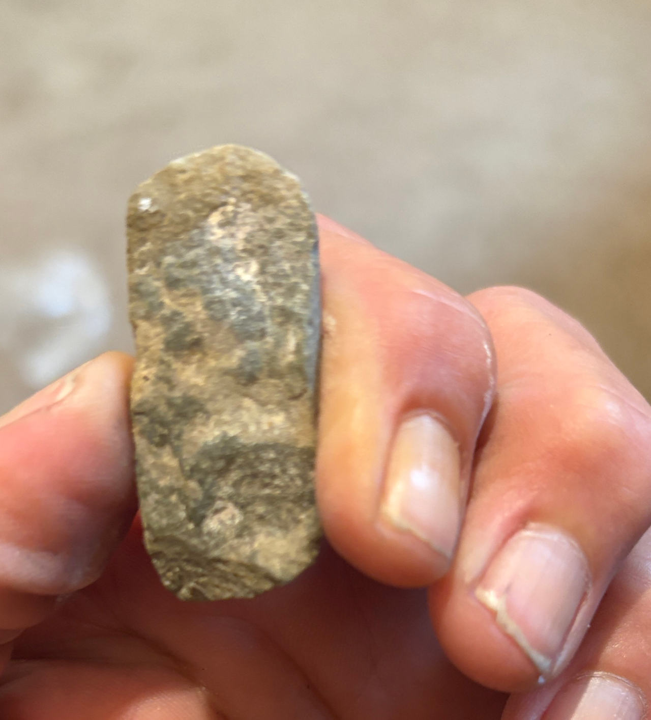 Native American Stone Celt Artifact