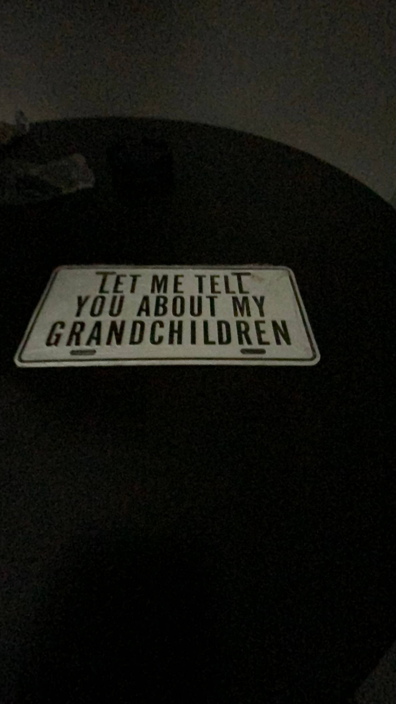 Vintage Let Me Tell You About My Grandchildren License Plate