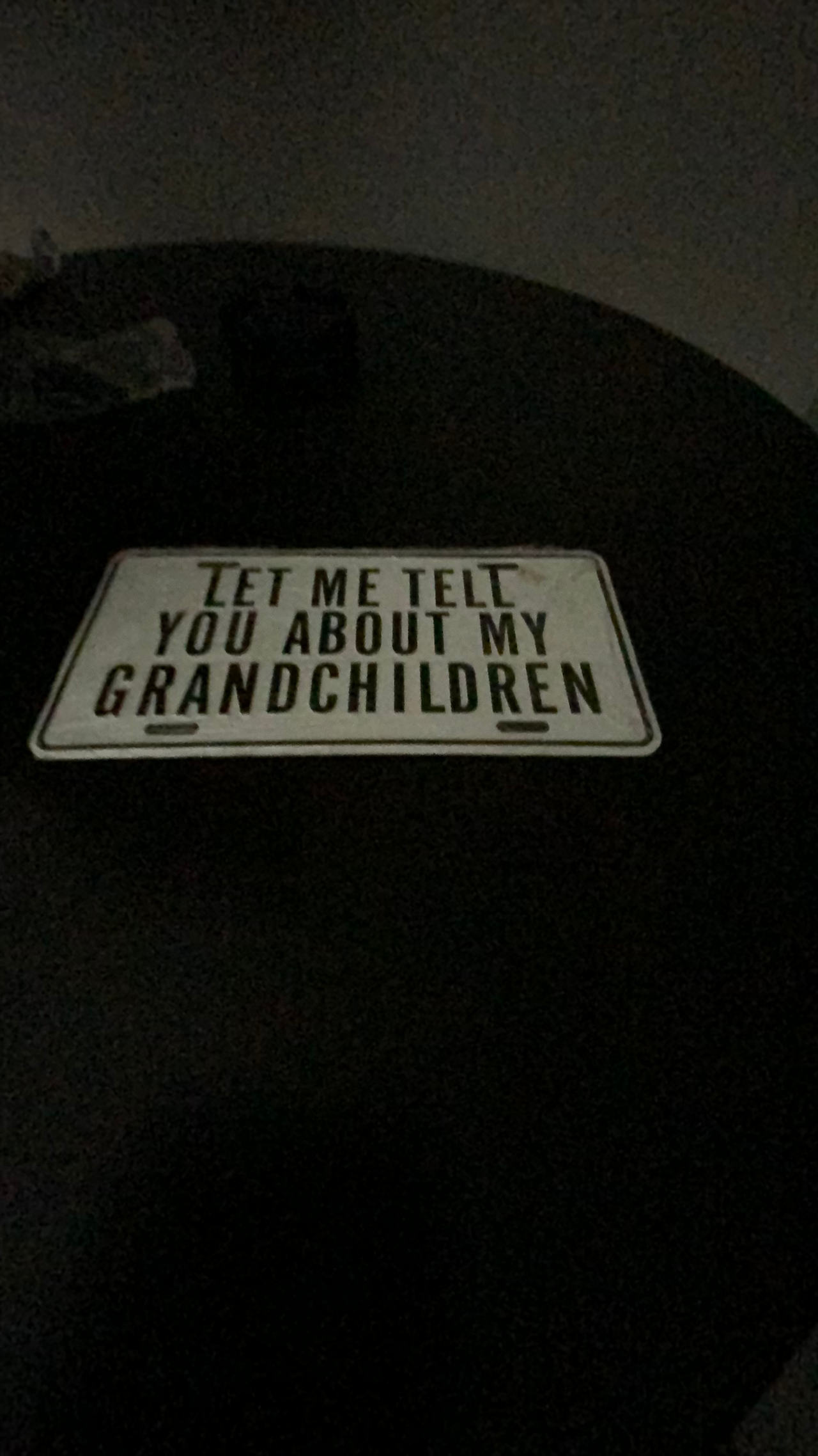 Vintage Let Me Tell You About My Grandchildren License Plate