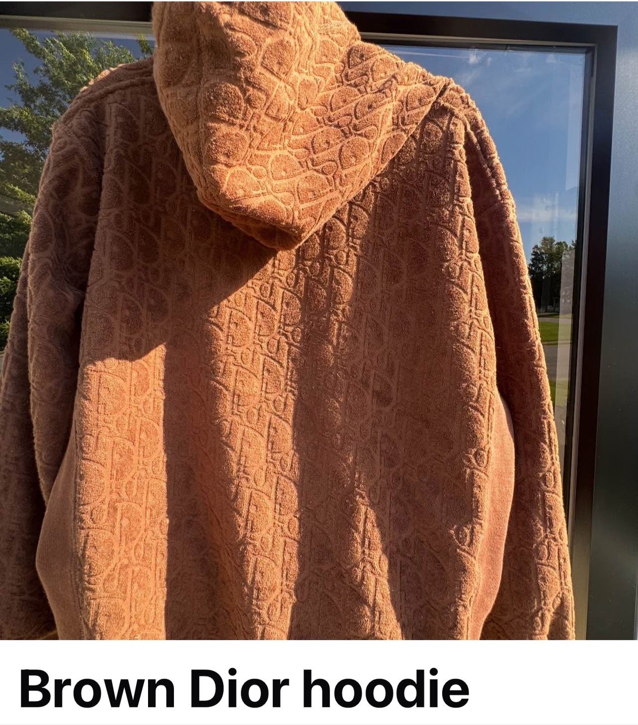 Dior Hoodie