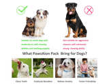 Puppy Toys Set - 20 Pack Pink Dog Chew Toys for Teething Small Breeds - Tough - Image 4