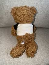 LIONEL RICHIE Teddy Bear Plush 8-inch Concert Plush - Image 2