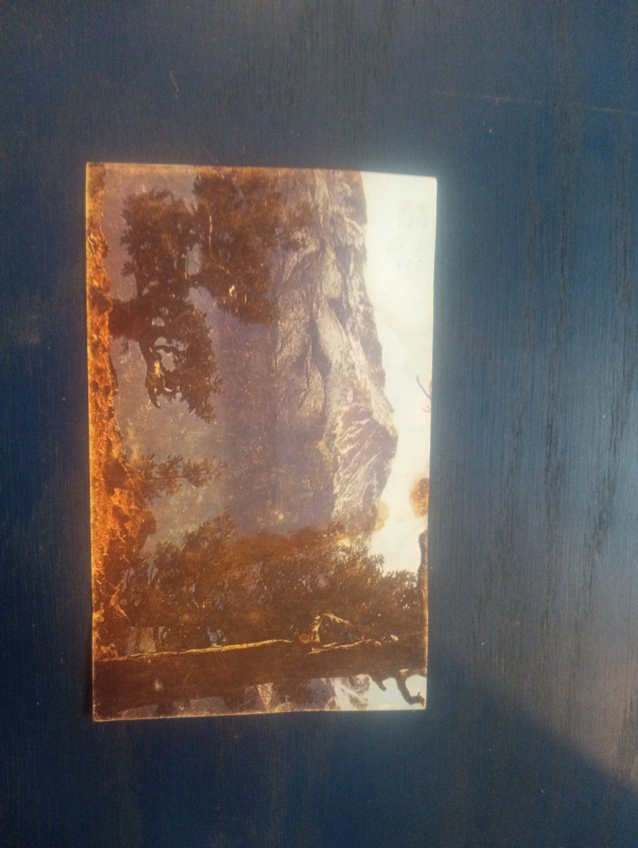 Vintage Pikes Peak Lithographing Co. Postcard 1310