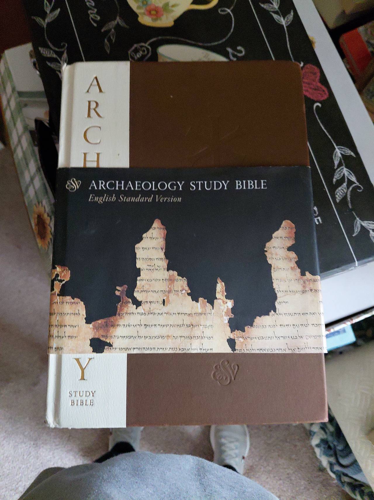 ESV Archaeology Study Bible