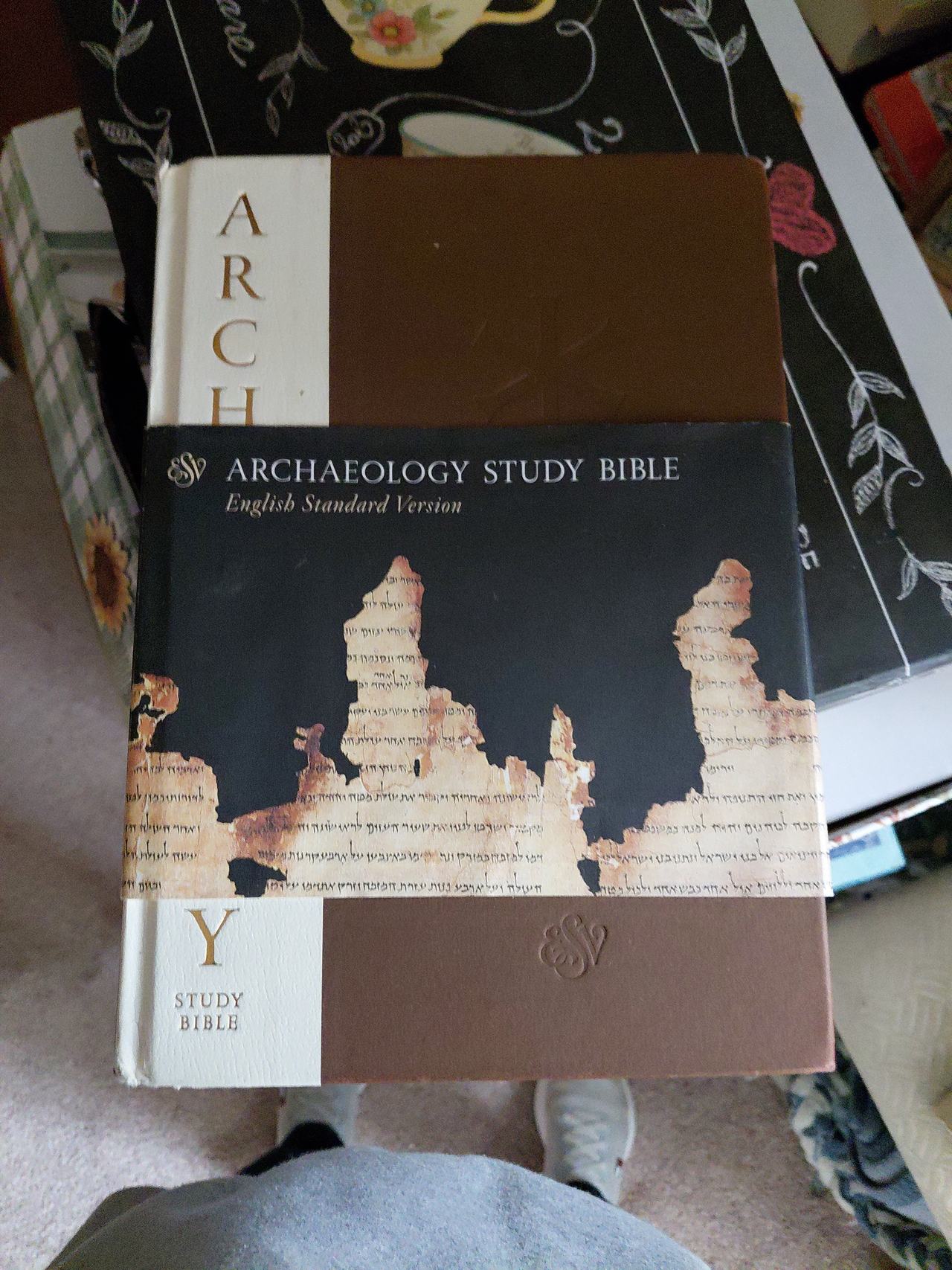 ESV Archaeology Study Bible