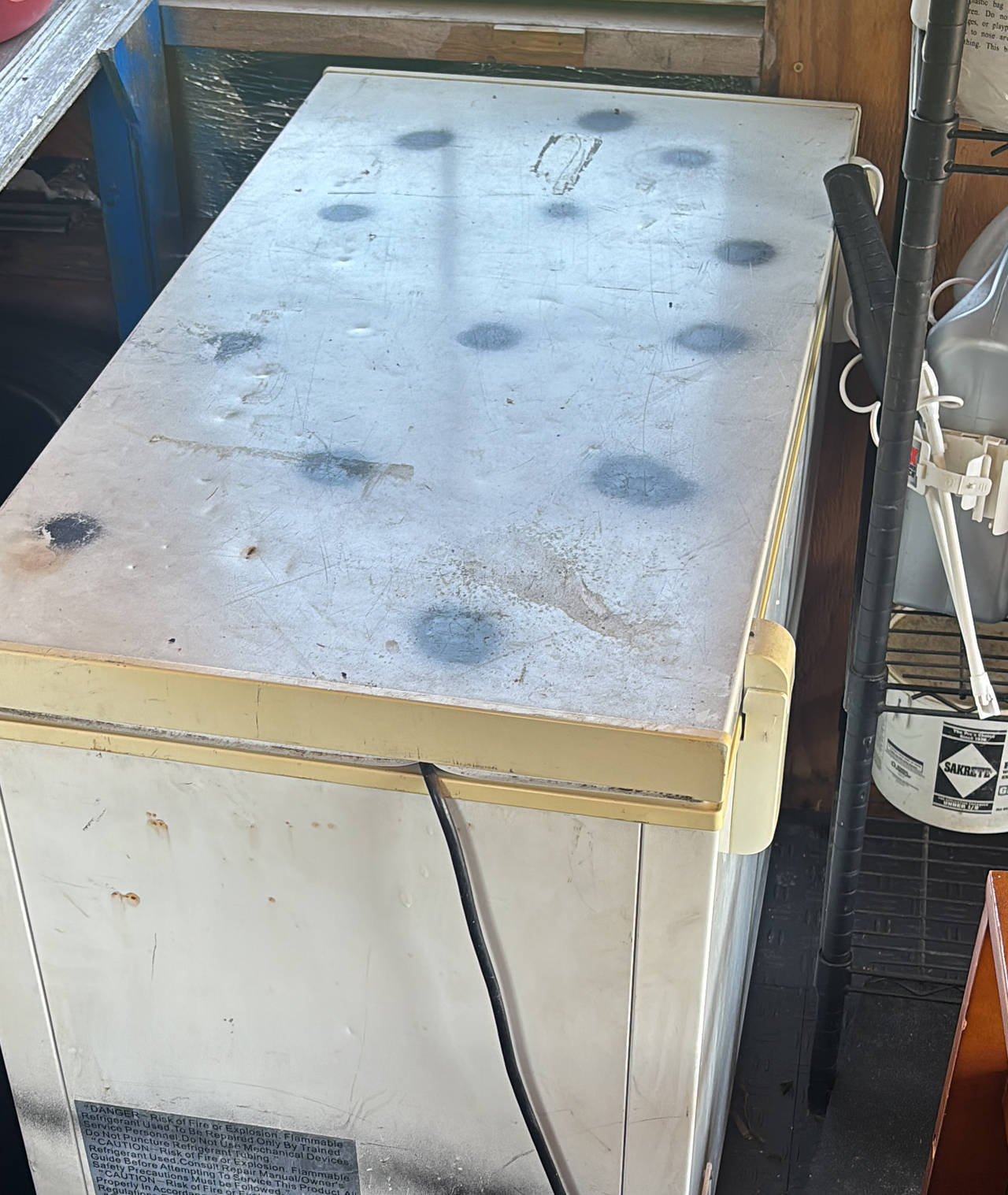 Chest Freezer