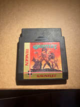 Gauntlet - Image 1