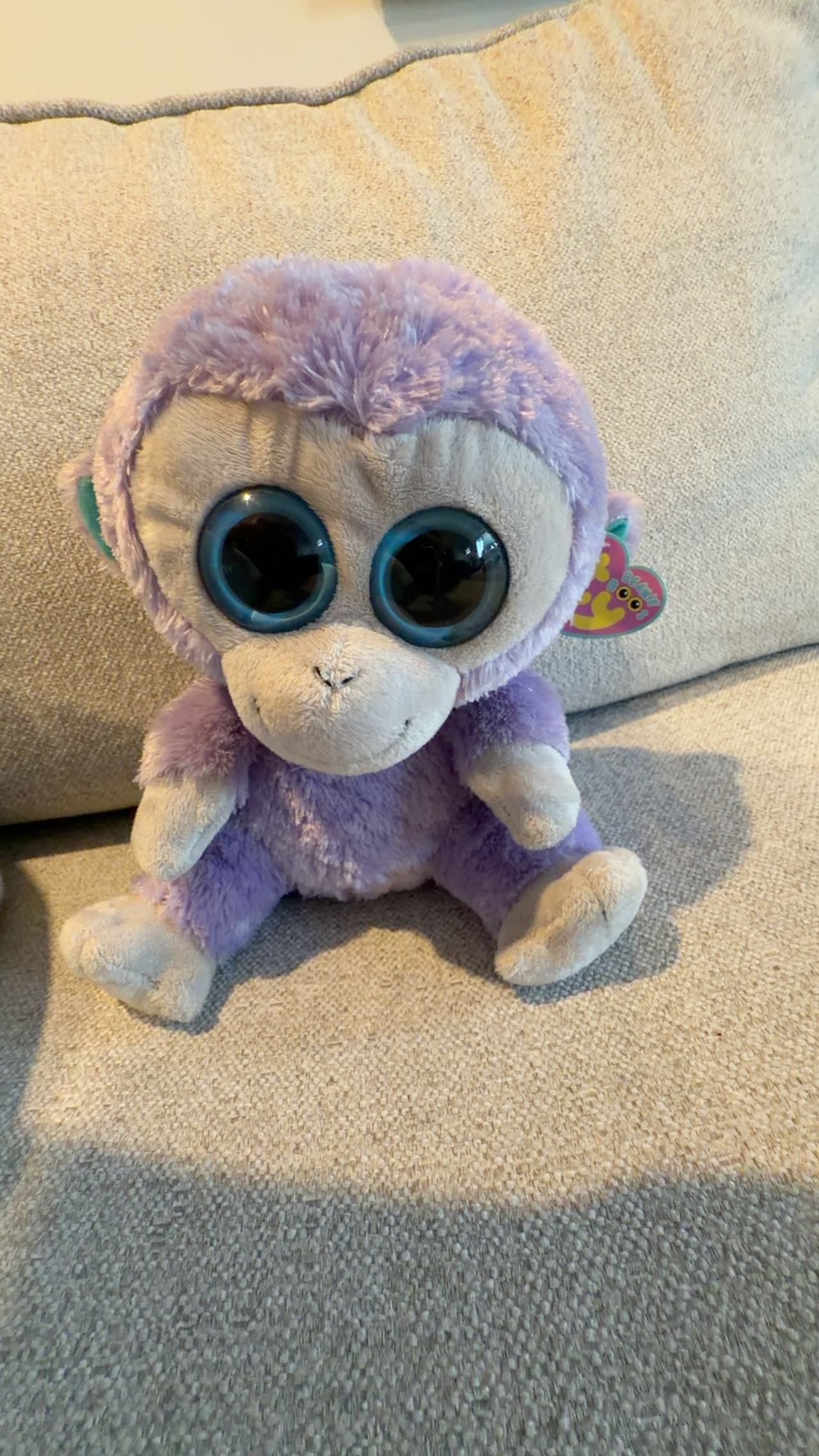 Ty Beanie Boo Blueberry Monkey Plush Medium Buddy Size 