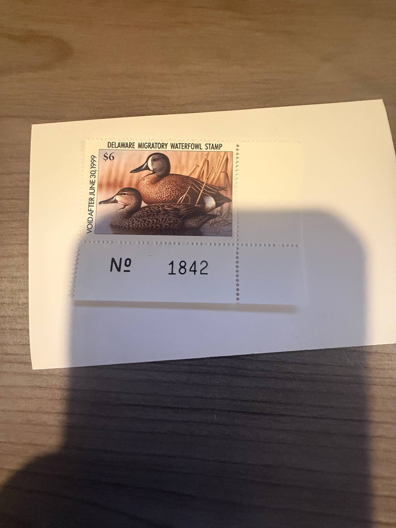1998-1999 Delaware Migratory Waterfowl Stamp