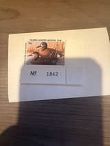 1998-1999 Delaware Migratory Waterfowl Stamp - Image 1