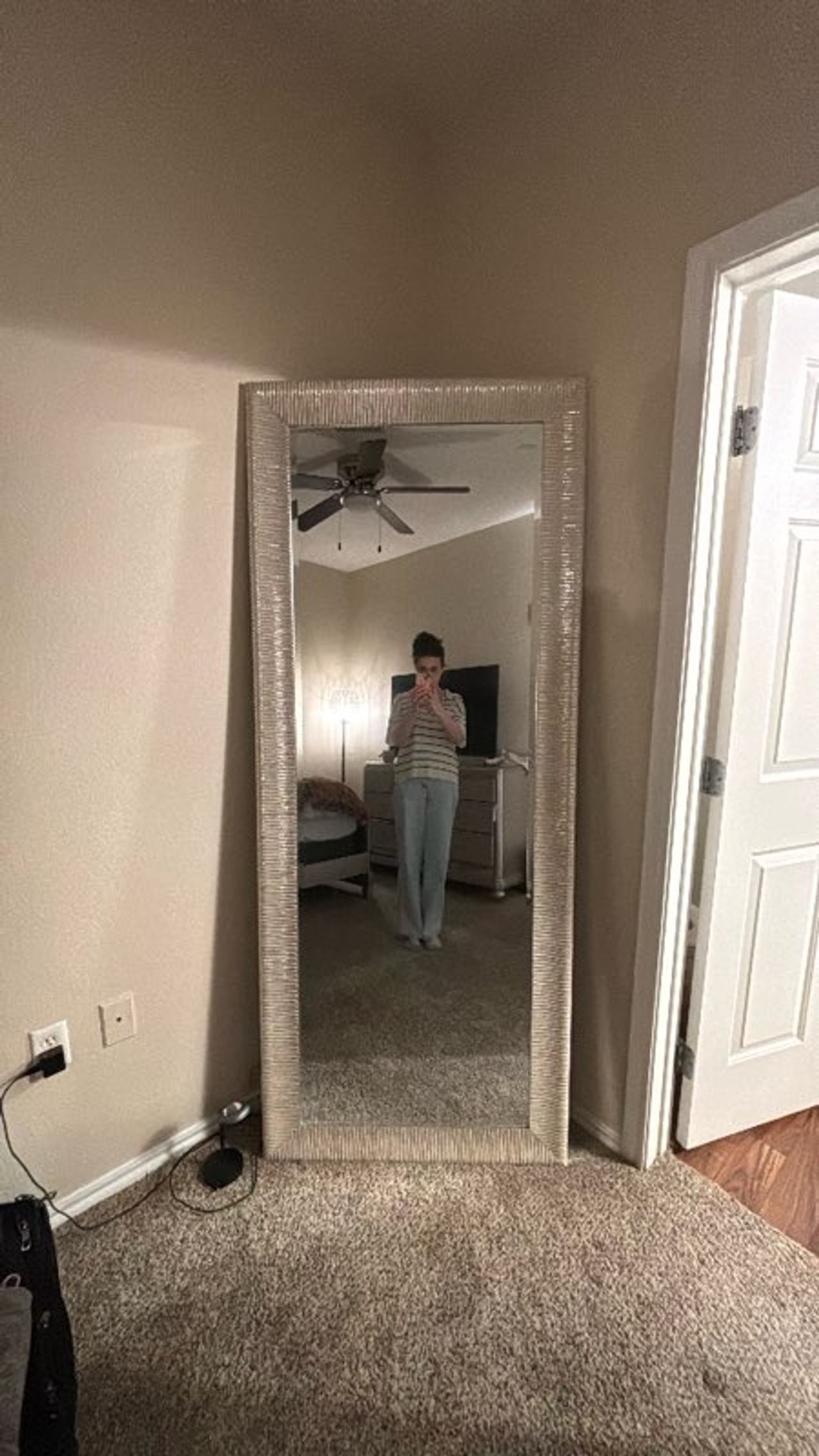 Full-Length Mirror