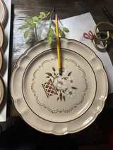 Pfaltzgraff Village Stoneware Plates Set - Image 7